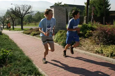 2006_009
