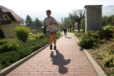 2006_033