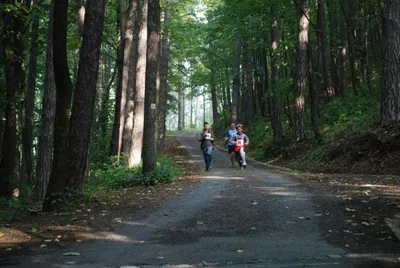 2008_044