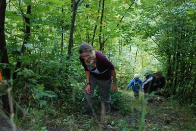 2008_064