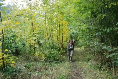 2008_079